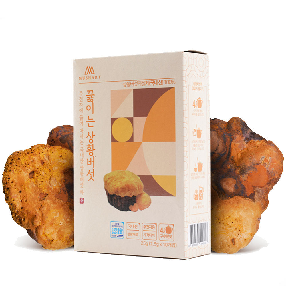 Family Size Meshima Mushroom Tea (2.5g x 10ea)