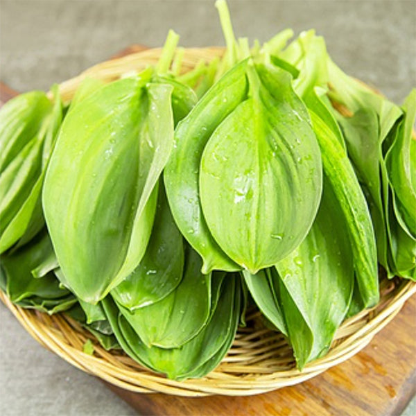 腌制胜利洋葱叶 300克