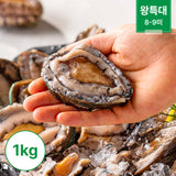冷冻鲍鱼 X-Large 1kg (8~9个)