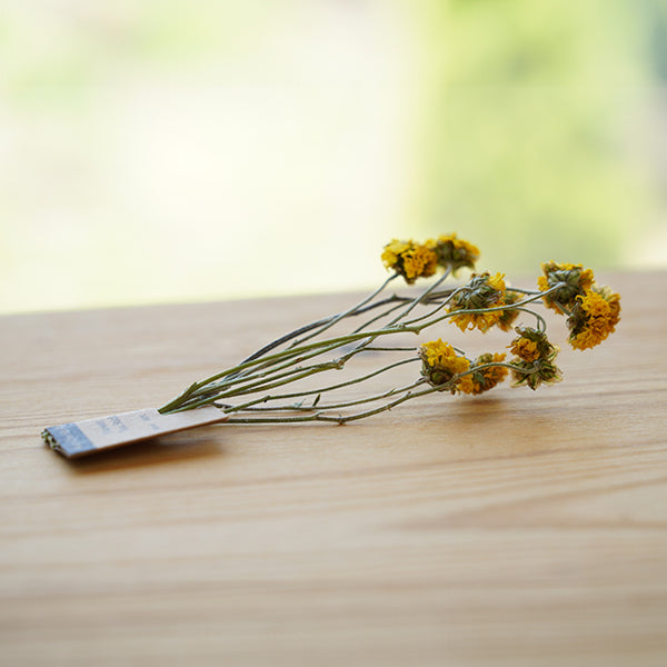 菊花茶棒(15支)15克
