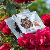 宿醉救援(缓解)3克 x 4包