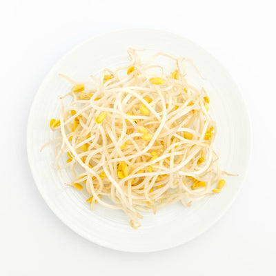 Soy Bean Sprouts 12oz