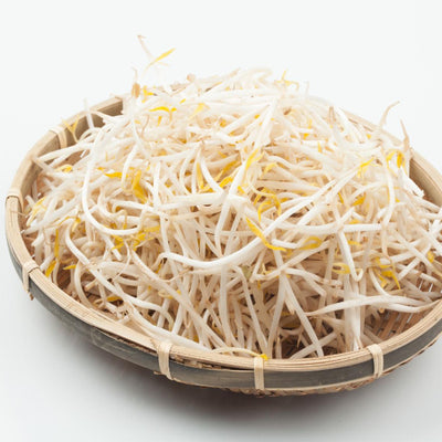 Mung Bean Sprouts 12oz