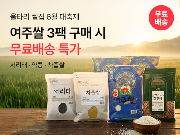 260602 울타리 쌀집