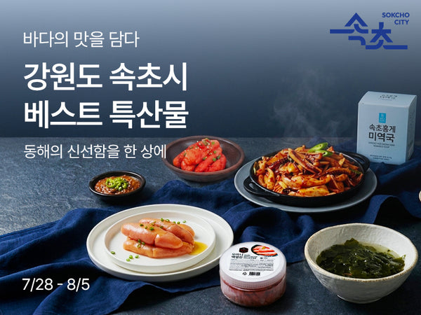260728 속초시 지원사업