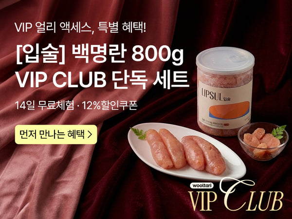 260811 입술