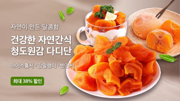 250910-다디단