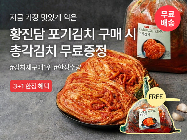 260914 황진담 3+1