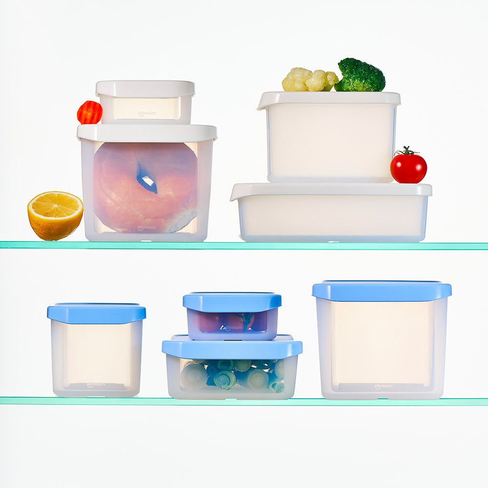 Iceway Freezer Container 600ml / 1700ml 8P – Ice Blue / Ice White (Option Purchase)_Korea Direct Delivery C