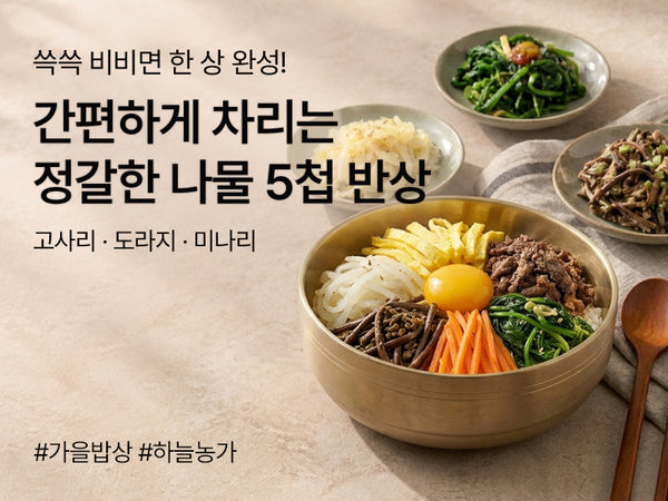 261002 나물
