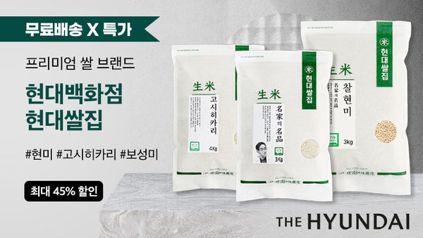 251004-현대쌀집
