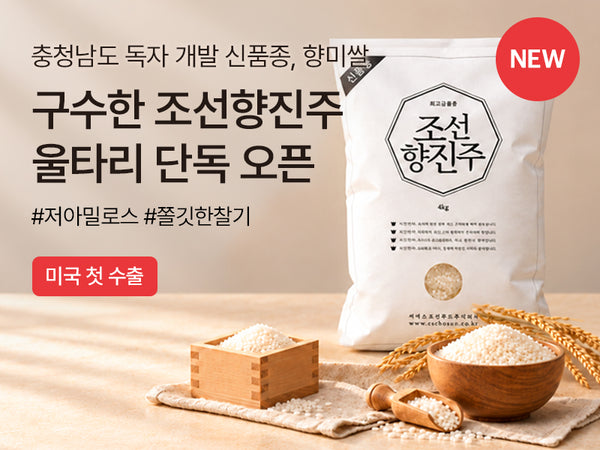261028 조선향 진주