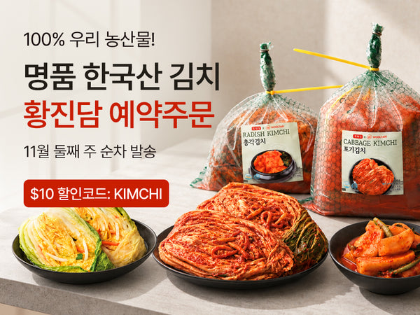 261027 황진담