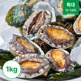 [Dashimachonbok] Frozen Abalone 1kg 1pk (11-13ea) (XL) | *Free* Frozen Abalone 500g 1pk (6-7ea) (XL)