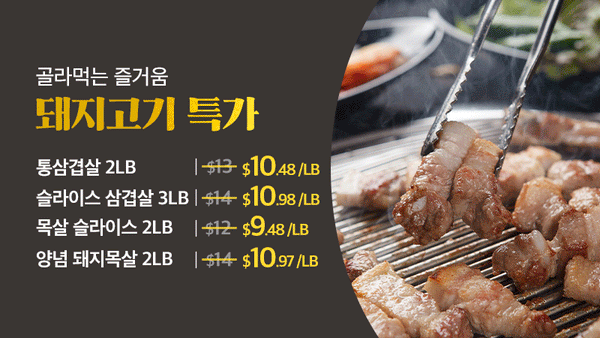 251013-돼지