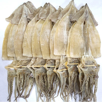 [한국직배송 A] 포항죽도시장 최상품 당일바리 오징어 특특대 10미(총 1.25kg 이상)