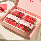 [예약][온베리스] 한국산 딸기, 골드베리 기프트 박스(380g x 2팩)_무료배송