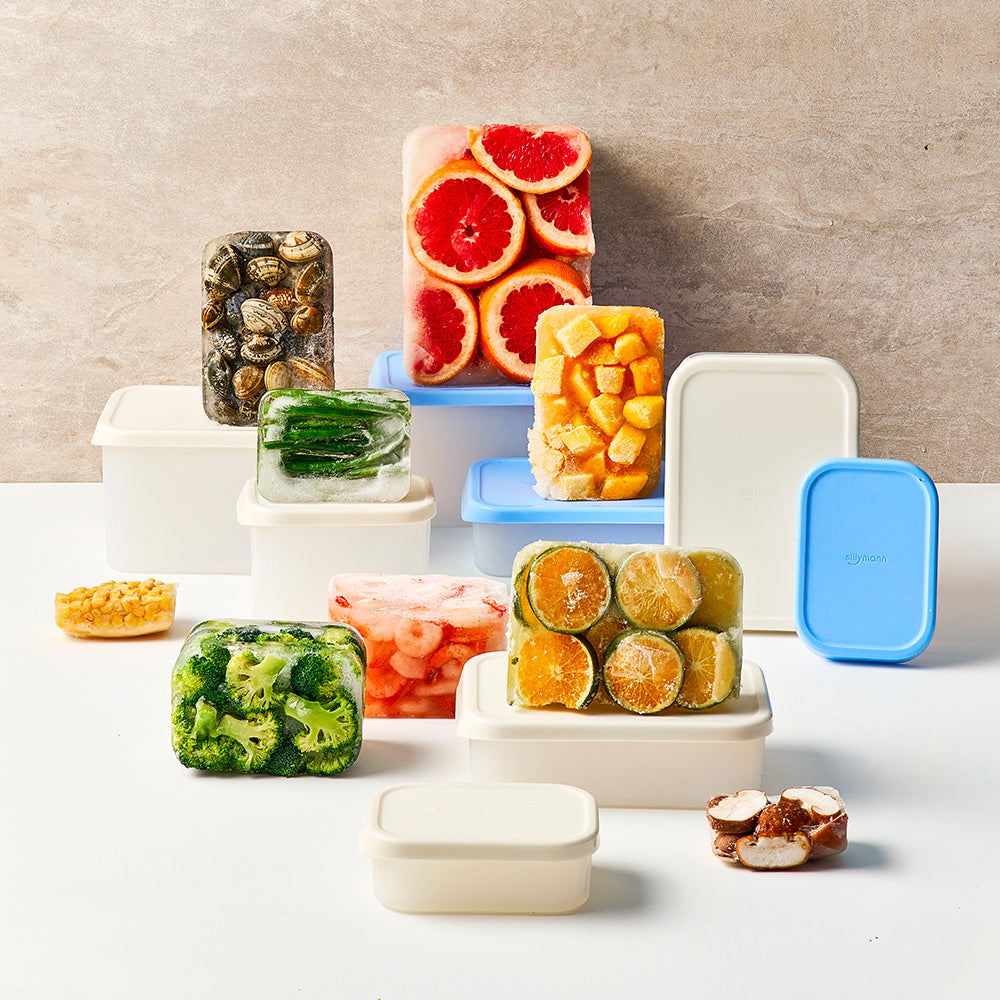 Iceway Freezer Container 600ml / 1700ml 8P – Ice Blue / Ice White (Option Purchase)_Korea Direct Delivery C