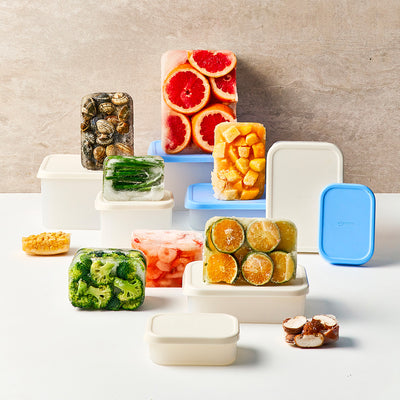Iceway Freezer Container 600ml / 1700ml 8P – Ice Blue / Ice White (Option Purchase)_Korea Direct Delivery C