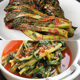 Yeoncheon Mi-geum-chi Bossam Kimchi + Yeolmu Kimchi + Leaf Mustard Kimchi _Korea Direct Delivery B