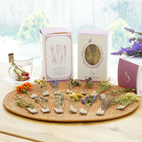 Chamomile Flower Tea Stick (15 pcs) 15g