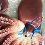 Korean East Coast Boiled Octopus 3kg