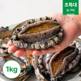 [다시마전복수산] 황제 전복 1kg 1팩 (6미~7미) (초특등급)