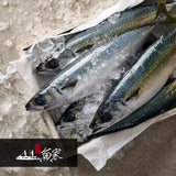 [1+1][창해수산] 제주어가 제주고등어살 500g (묶음)_타임딜