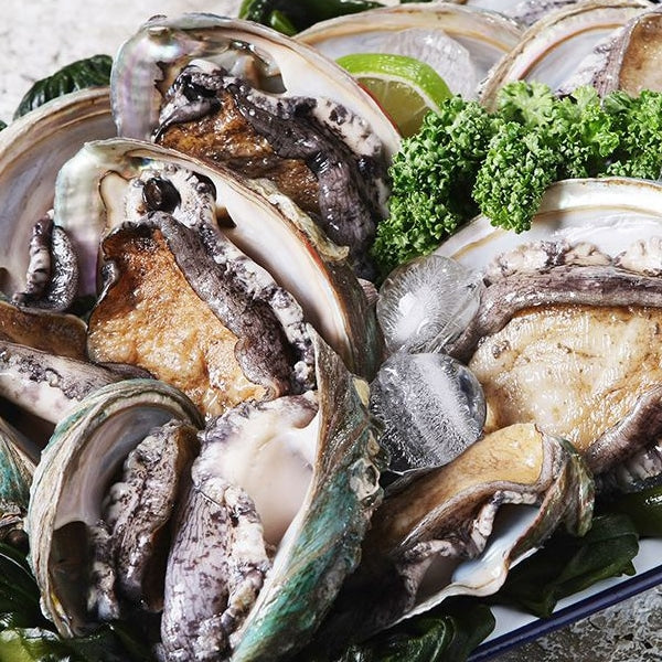 [Dashimachonbok] Frozen Abalone 1kg 1pk (11-13ea) (XL) | *Free* Frozen Abalone 500g 1pk (6-7ea) (XL)