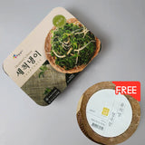 [Haneulnongga] Shepherd Purse 250g *Gift* [R Food] Jiyoung Yoon Cheonggukjang 200g