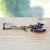 Agastache Rugosa Flower Tea Stick (15 pcs) 15g