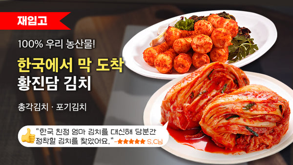 250912-황진담