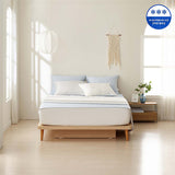 [K Direct Delivery] WELCRON Sesa Air Ice Cooling Mattress Pad LK (200x210 cm)