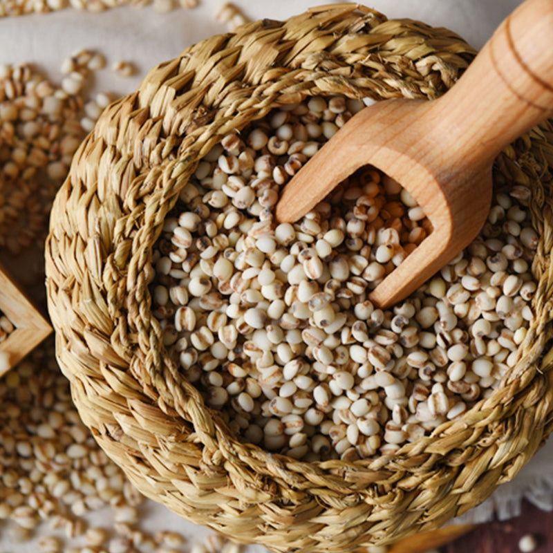 [바른곡물] 율무쌀 1.6kg x 3팩_ 무료배송 (묶음)