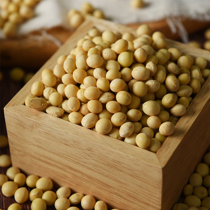 [Ganghwa Island Rice] Premium Samgwang Rice Plus 4kg x 3pk + [Barun Grain] White Soybeans 1.6kg x 1pk_Free Shipping
