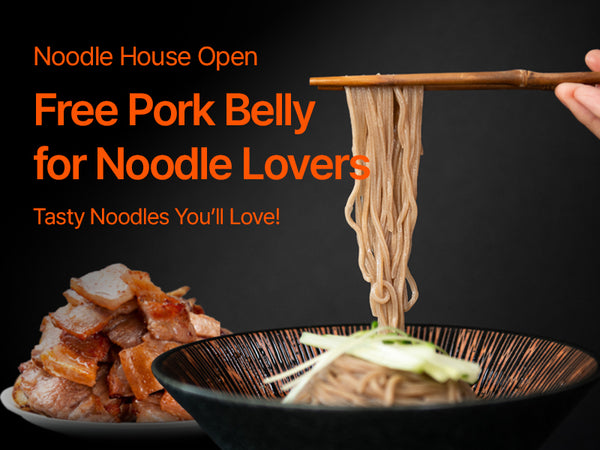 260625 noodle